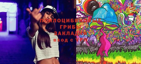 прущие крисы Армянск