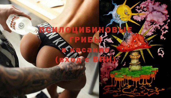 индика Арсеньев