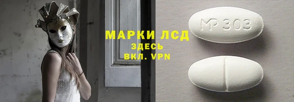 индика Арсеньев
