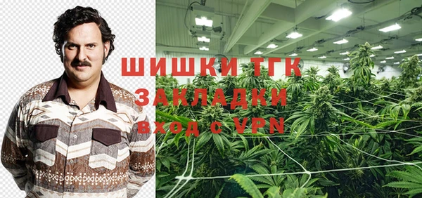 индика Арсеньев
