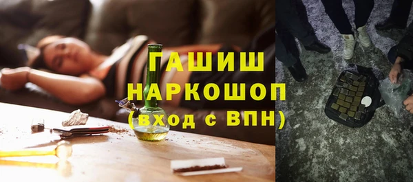 индика Арсеньев