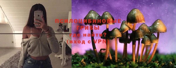 гашик Балахна